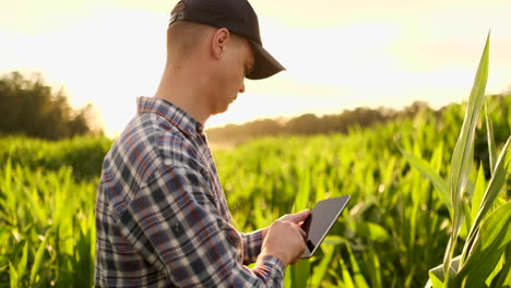 Farmer-agronomist-with-tablet-computer-in-bare-empty-field-in-sunset-serious-confident-man-using-modern-technology-in-agricultural-production-planning-and-preparation